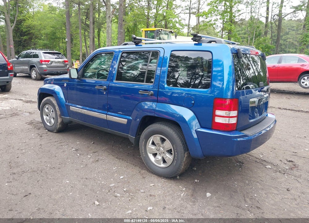 2009 JEEP LIBERTY VIN: 1J8GN58K19W539796