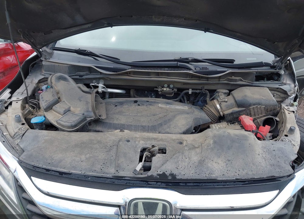 2019 HONDA ODYSSEY VIN: 5FNRL6H81KB038790