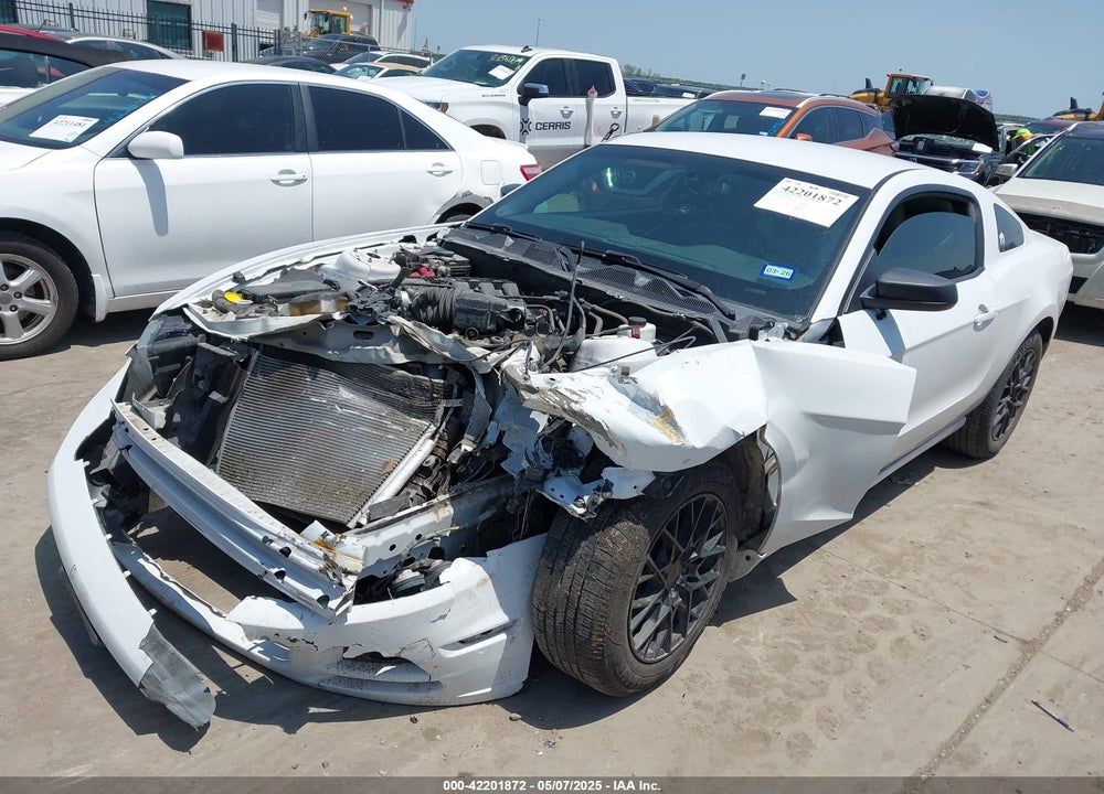 2014 FORD MUSTANG VIN: 1ZVBP8AM7E5213510