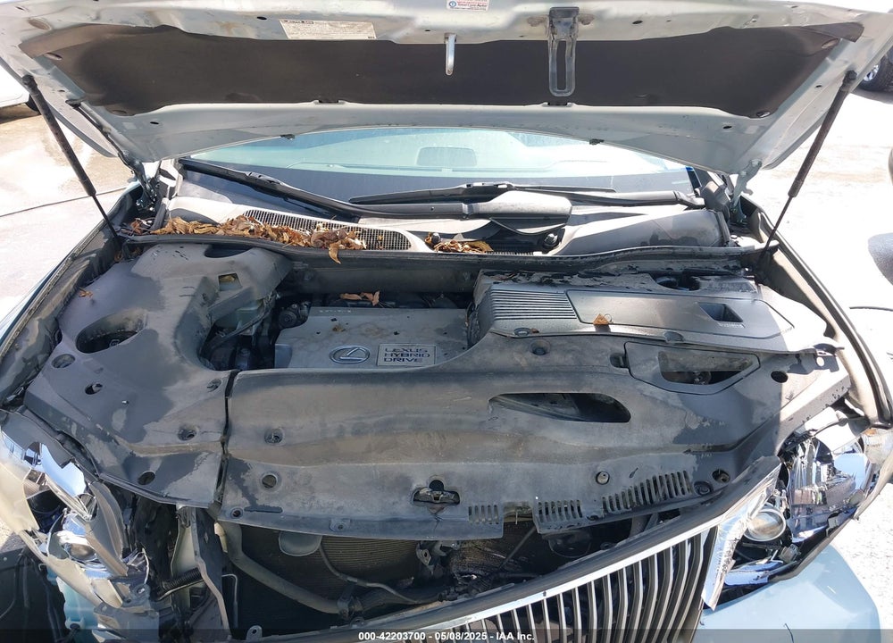 2010 LEXUS RX 450H VIN: JTJBC1BA2A2013721