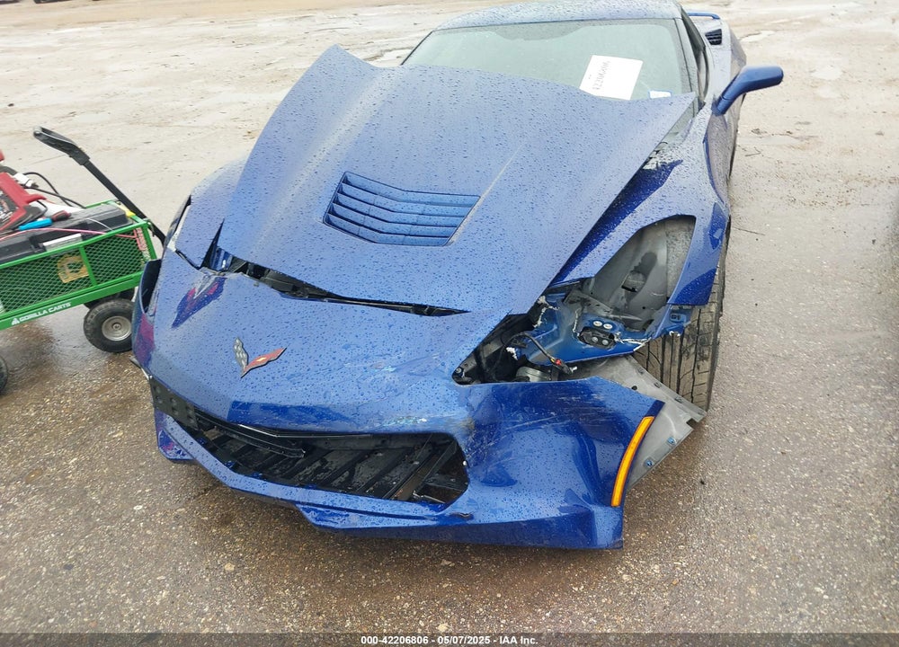 2019 CHEVROLET CORVETTE STINGRAY VIN: 1G1YB2D73K5105162