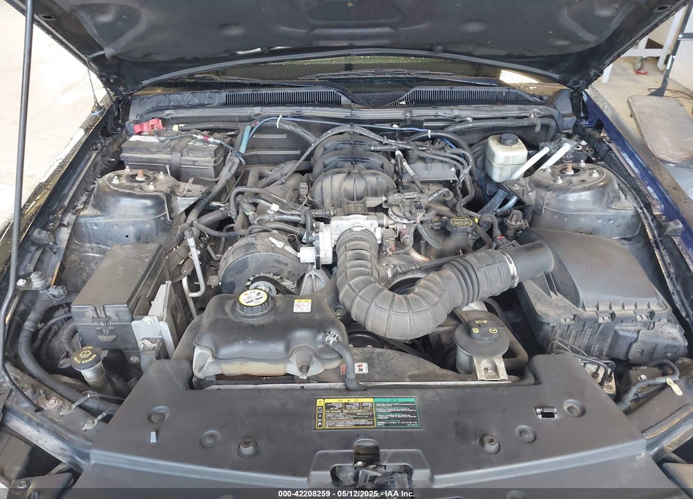 2005 FORD MUSTANG VIN: 1ZVFT84N855165811