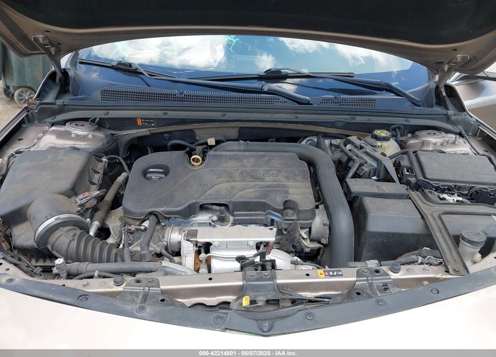 2019 CHEVROLET MALIBU LT VIN: 1G1ZD5ST9KF113468