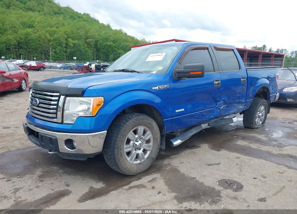 2011 FORD F-150 XLT VIN: 1FTFW1ET7BFB22128