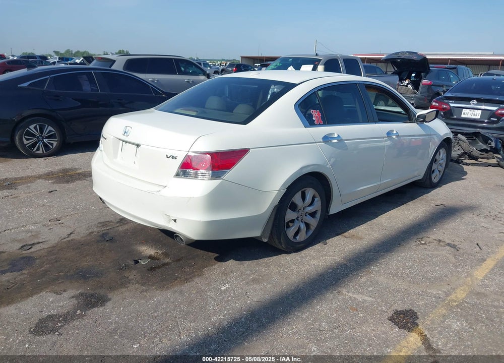 2010 HONDA ACCORD VIN: 1HGCP3F84AA031563