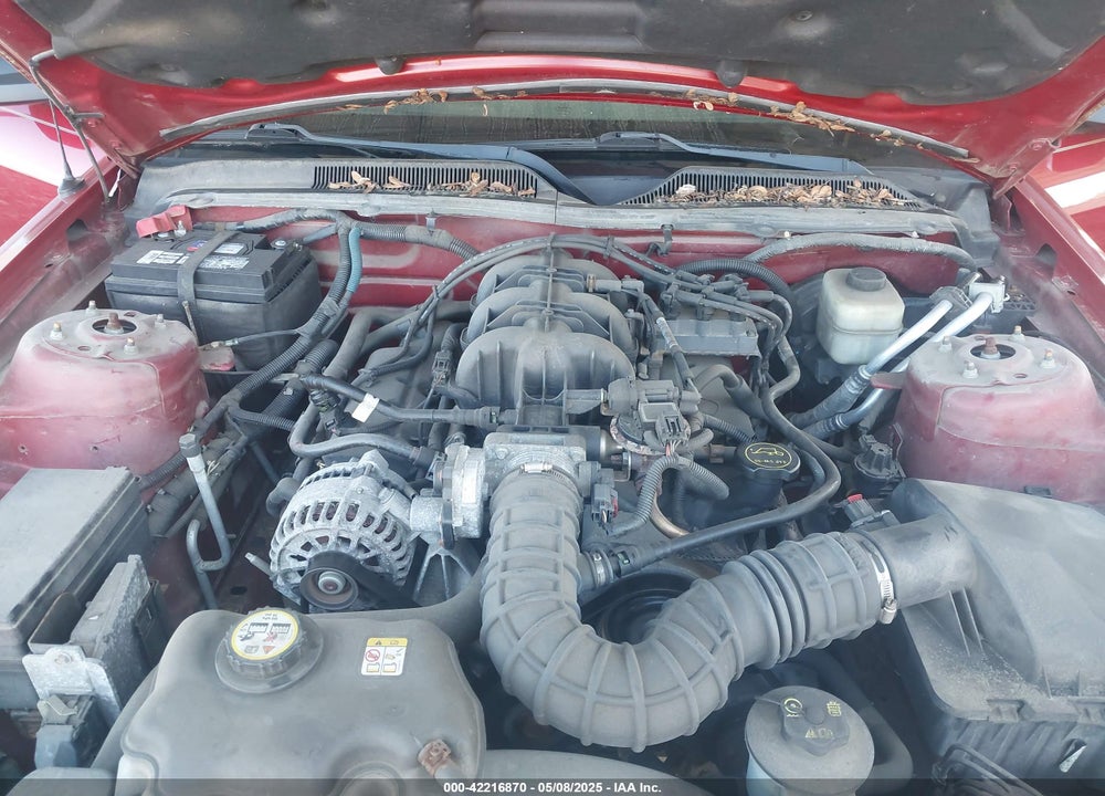 2008 FORD MUSTANG V6 DELUXE/V6 PREMIUM VIN: 1ZVHT80N185124424