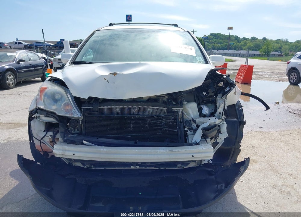 2009 HONDA CR-V EX-L VIN: 5J6RE48739L050821