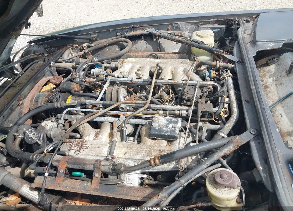 1984 JAGUAR XJS VIN: SAJNV5846EC112496