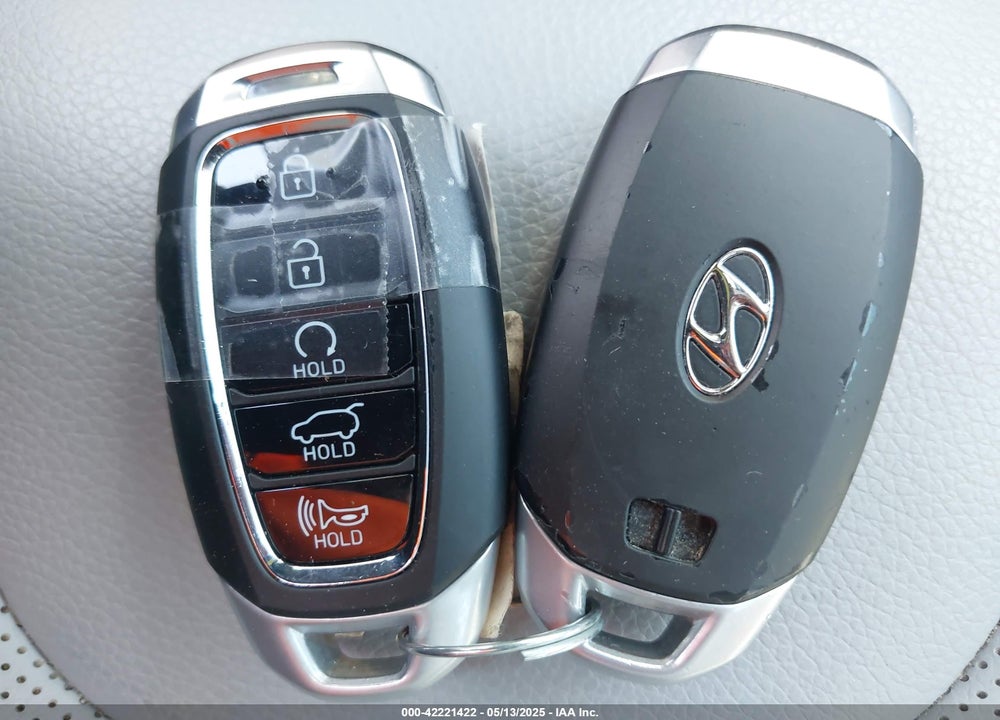 2020 HYUNDAI PALISADE VIN: KM8R44HE2LU130129