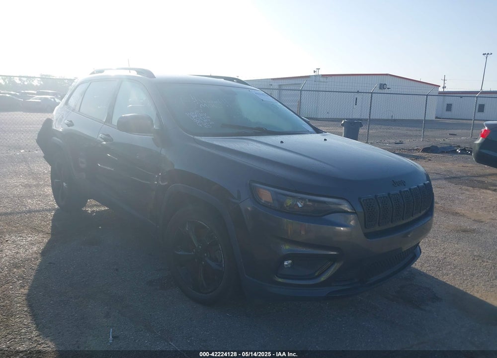 2019 JEEP CHEROKEE ALTITUDE FWD VIN: 1C4PJLLN9KD303312
