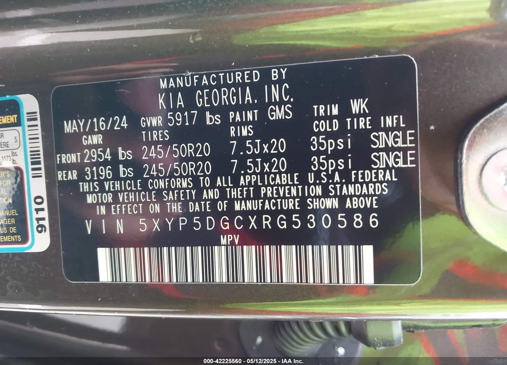 2024 KIA TELLURIDE VIN: 5XYP5DGCXRG530586