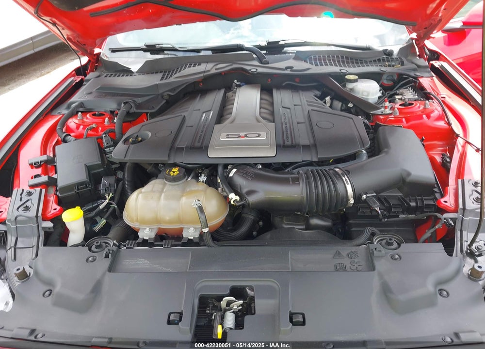 2019 FORD MUSTANG VIN: 1FA6P8CF7K5124590