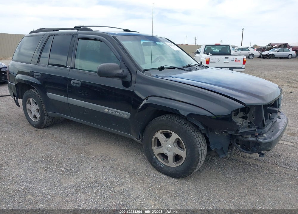 2004 CHEVROLET TRAILBLAZER LS VIN: 1GNDT13S842111229