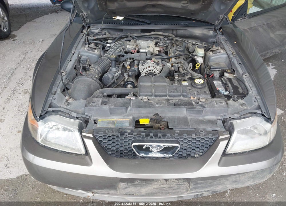 2001 FORD MUSTANG GT VIN: 1FAFP42X31F235570