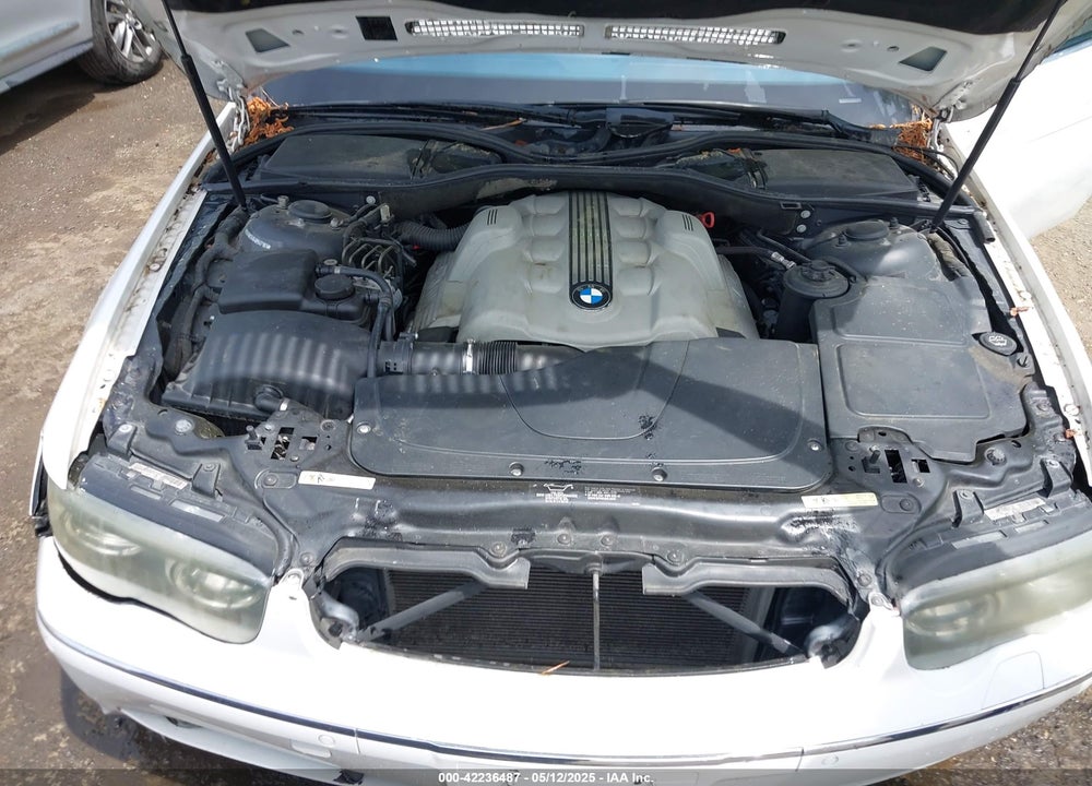 2004 BMW 745LI VIN: WBAGN63464DS47181