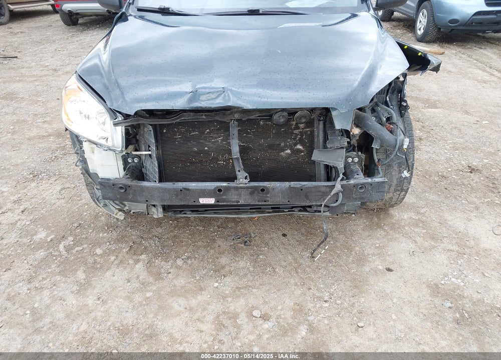 2010 TOYOTA RAV4 VIN: JTMBF4DV3AD030897