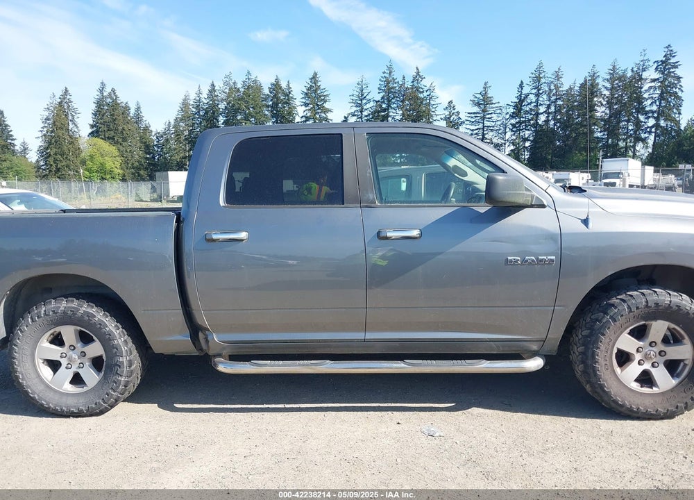 2009 DODGE RAM 1500 VIN: 1D3HV13PX9S761193