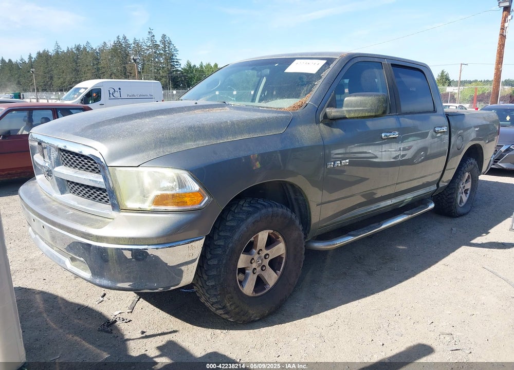 2009 DODGE RAM 1500 VIN: 1D3HV13PX9S761193