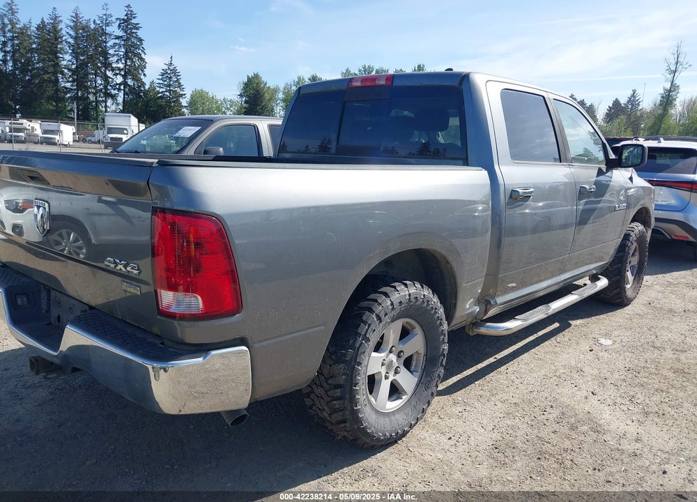 2009 DODGE RAM 1500 VIN: 1D3HV13PX9S761193