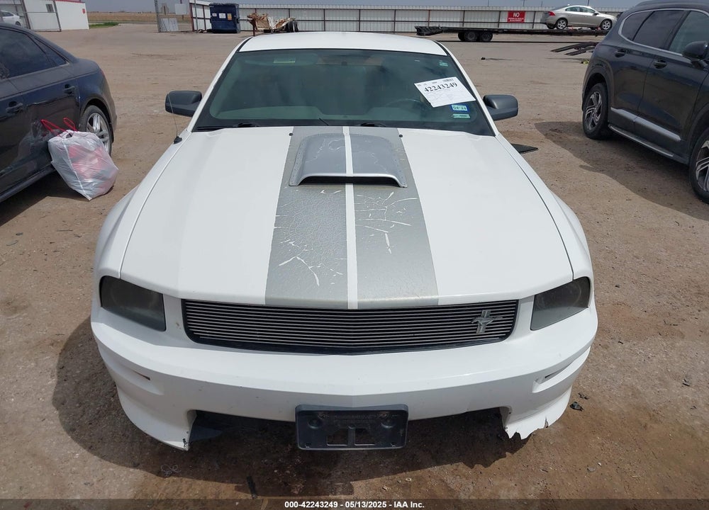 2007 FORD MUSTANG GT DELUXE/GT PREMIUM VIN: 1ZVHT82H175311300