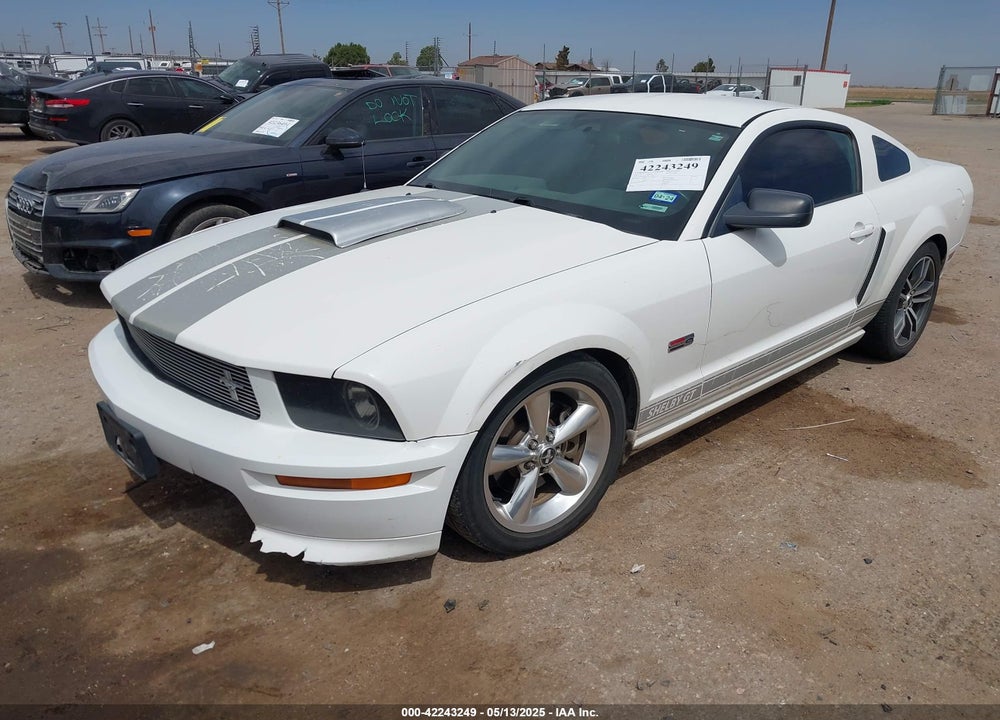 2007 FORD MUSTANG GT DELUXE/GT PREMIUM VIN: 1ZVHT82H175311300