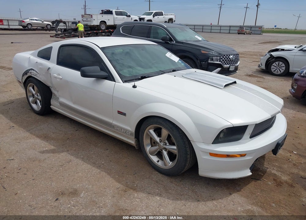 2007 FORD MUSTANG GT DELUXE/GT PREMIUM VIN: 1ZVHT82H175311300