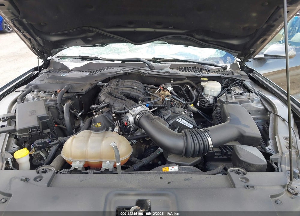 2016 FORD MUSTANG VIN: 1FA6P8AM1G5269049