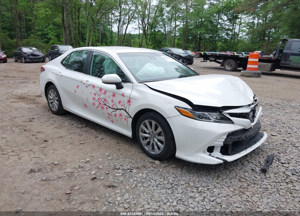 2020 TOYOTA CAMRY LE VIN: 4T1C11AK4LU316588