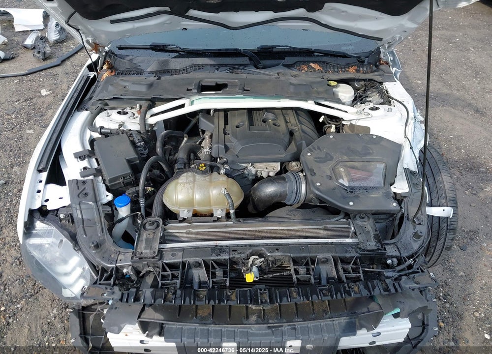 2020 FORD MUSTANG ECOBOOST FASTBACK VIN: 1FA6P8TH9L5132788