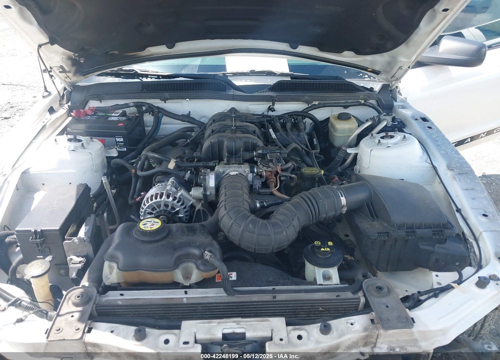 2008 FORD MUSTANG VIN: 1ZVHT80N885199959
