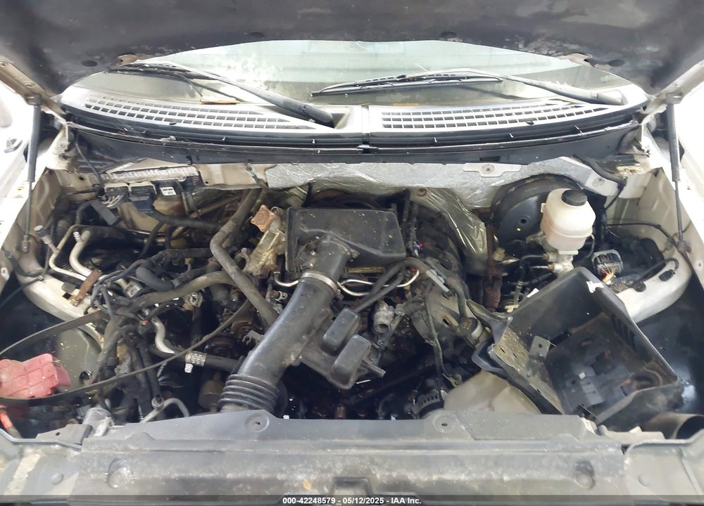 2013 FORD F-150 XL VIN: 1FTNF1CF7DKD33669