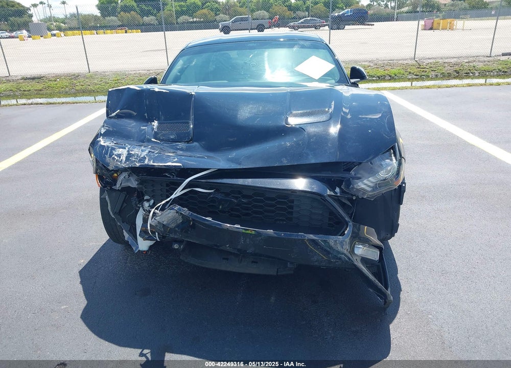 2019 FORD MUSTANG ECOBOOST VIN: 1FA6P8TH4K5195697
