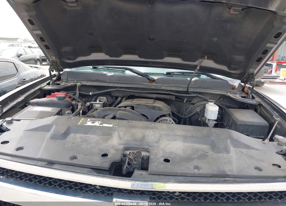 2010 CHEVROLET SILVERADO 1500 VIN: 1GCSKSE37AZ136981