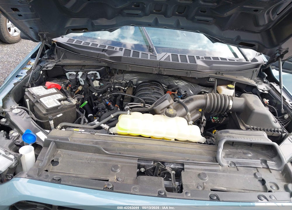2023 FORD F-150 XL VIN: 1FTFW1E58PKF15989