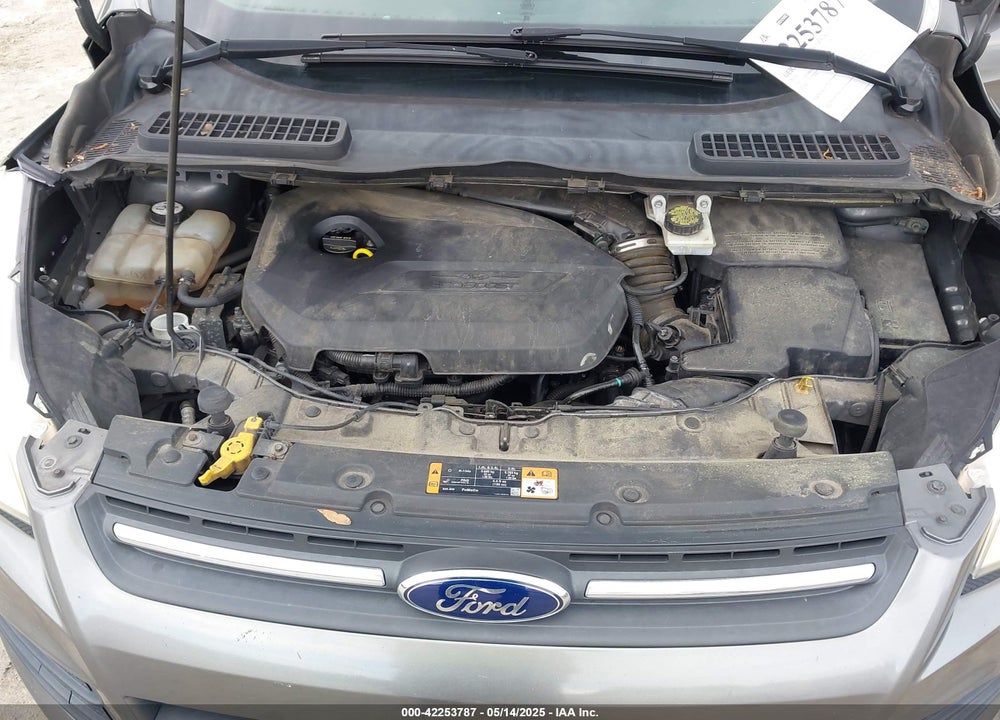 2014 FORD ESCAPE VIN: 1FMCU0GX8EUE28009