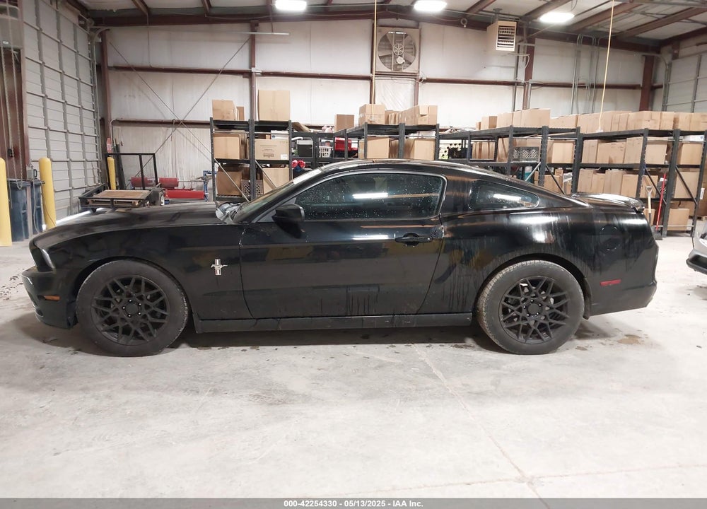 2013 FORD MUSTANG VIN: 1ZVBP8AM5D5268763