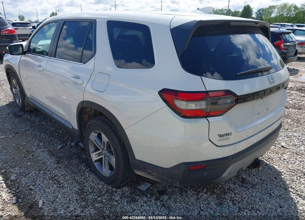 2023 HONDA PILOT VIN: 5FNYG1H46PB012063