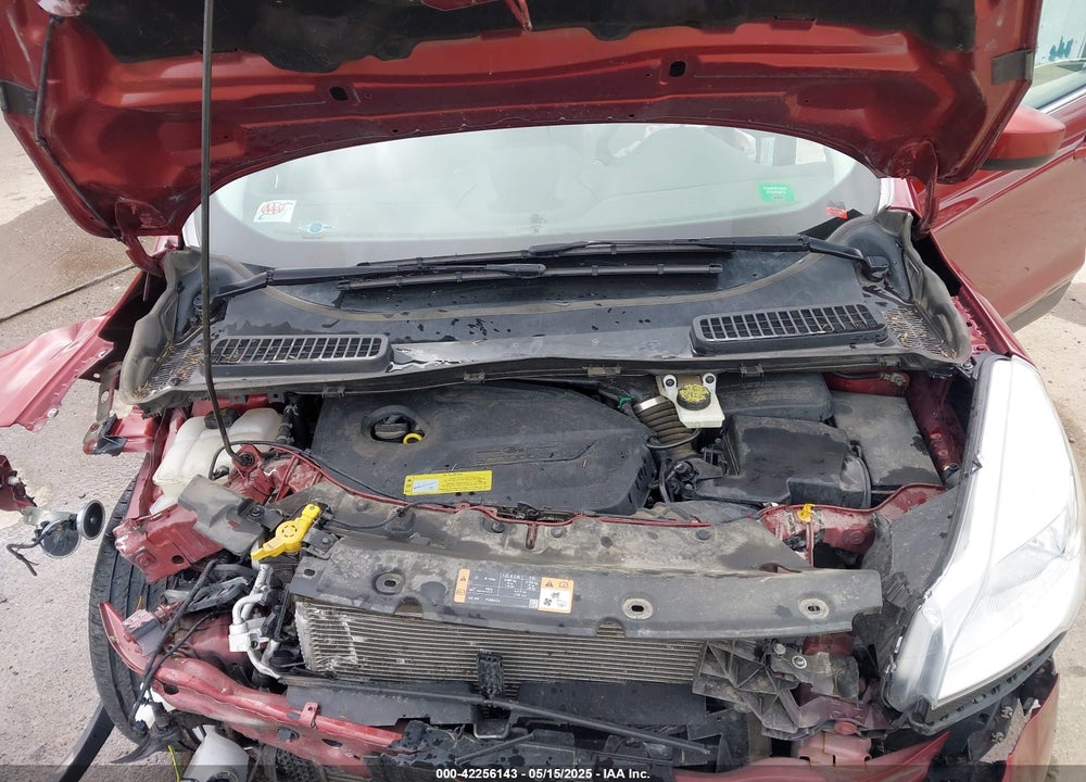 2014 FORD ESCAPE SE VIN: 1FMCU9GX8EUB98766