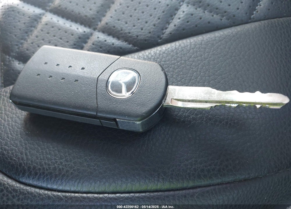 2010 MAZDA 3 VIN: JM1BL1SGXA1324911