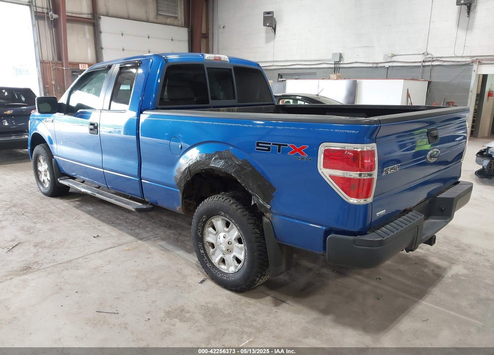 2010 FORD F-150 VIN: 1FTEX1E81AFB43768