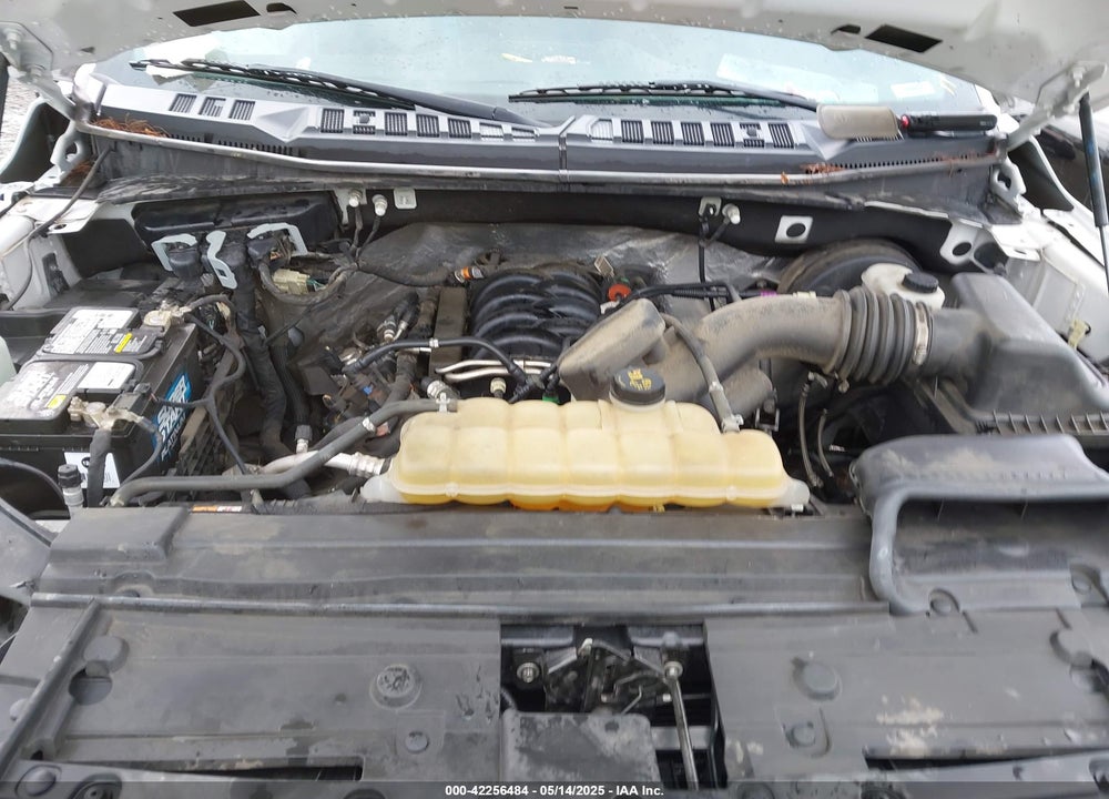2019 FORD F150 VIN: 1FTMF1C52KKD08601