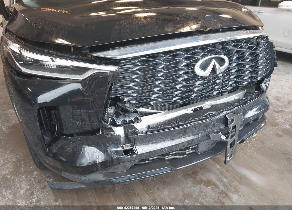 2024 INFINITI QX60 VIN: 5N1DL1FS5RC353672