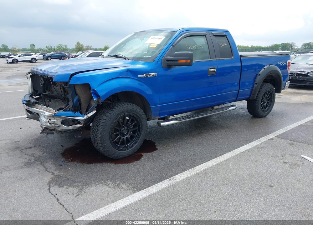 2010 FORD F-150 VIN: 1FTFX1EV6AFB24384