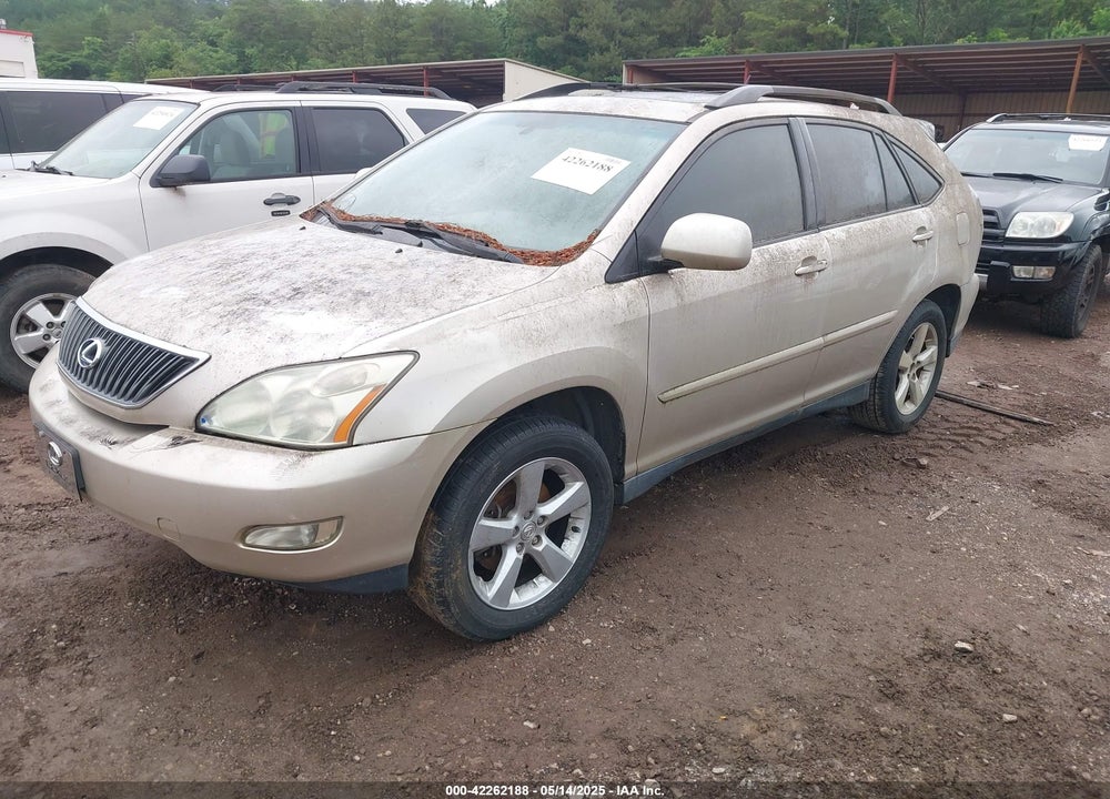 2004 LEXUS RX 330 VIN: JTJGA31U040003661