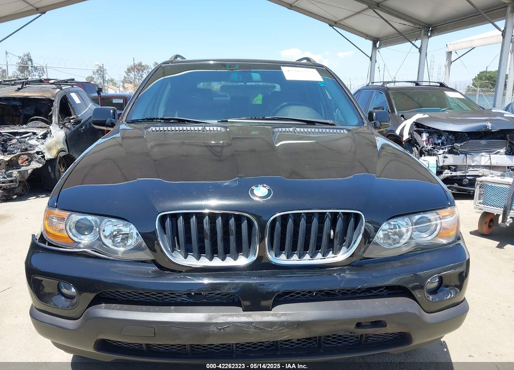 2006 BMW X5 3.0I VIN: 5UXFA13566LY44392
