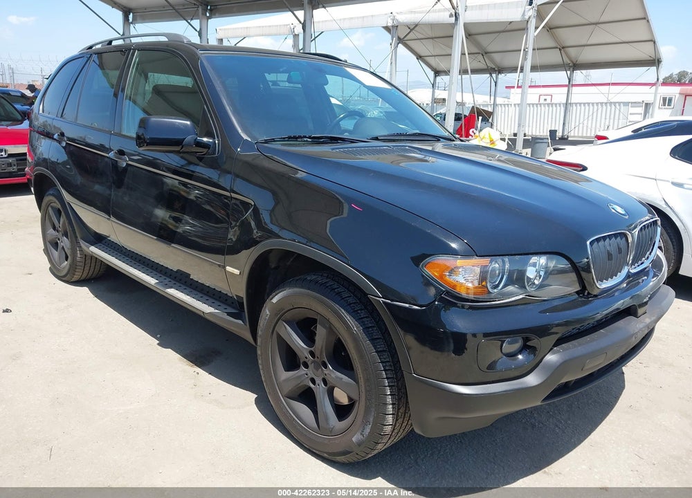 2006 BMW X5 3.0I VIN: 5UXFA13566LY44392