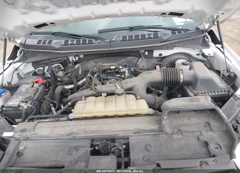 2019 FORD F-150 XL VIN: 1FTMF1CP6KKF11931