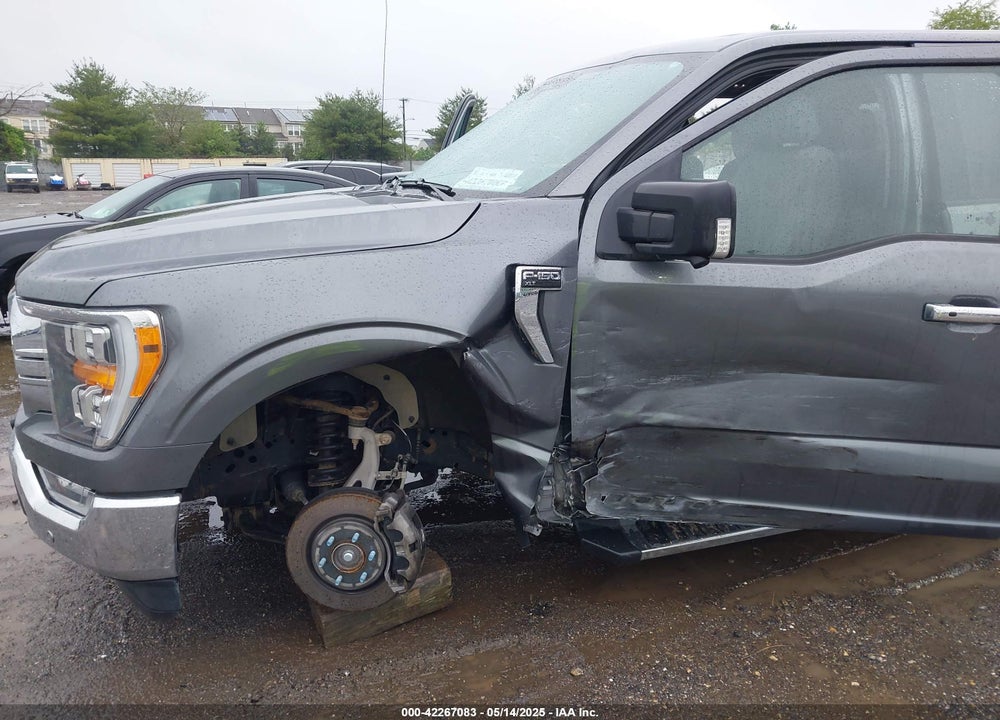 2021 FORD F-150 XLT VIN: 1FTFW1E82MFA77324