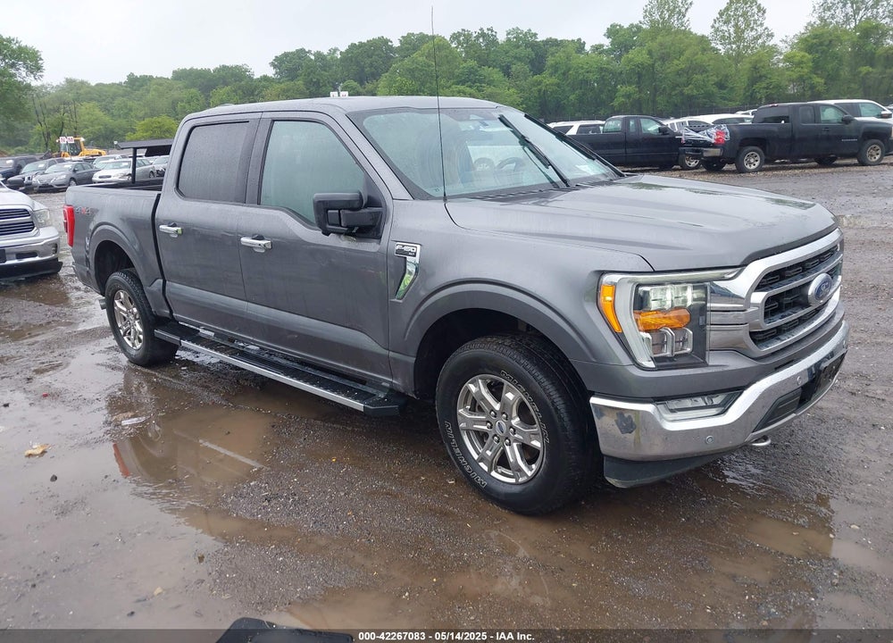 2021 FORD F-150 XLT VIN: 1FTFW1E82MFA77324