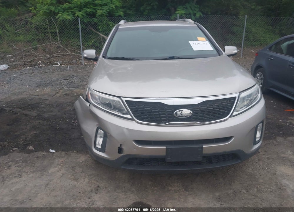 2014 KIA SORENTO VIN: 5XYKTCA69EG441342